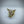 Load and play video in Gallery viewer, Bull Ring (Gold Filled)